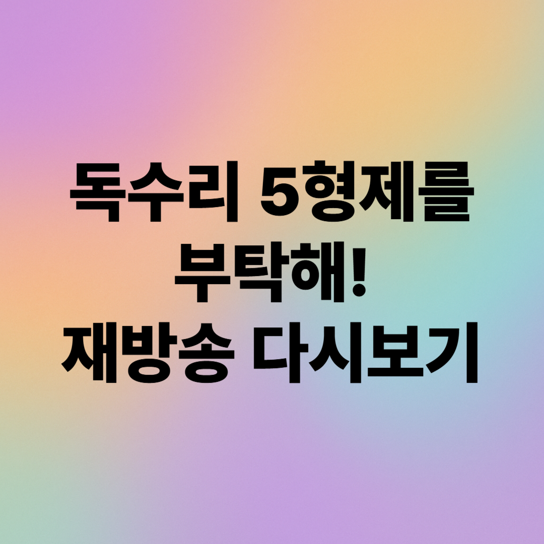 독수리 5형제를 부탁해 재방송 및 다시보기 안내