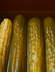 오이지 담그는 방법