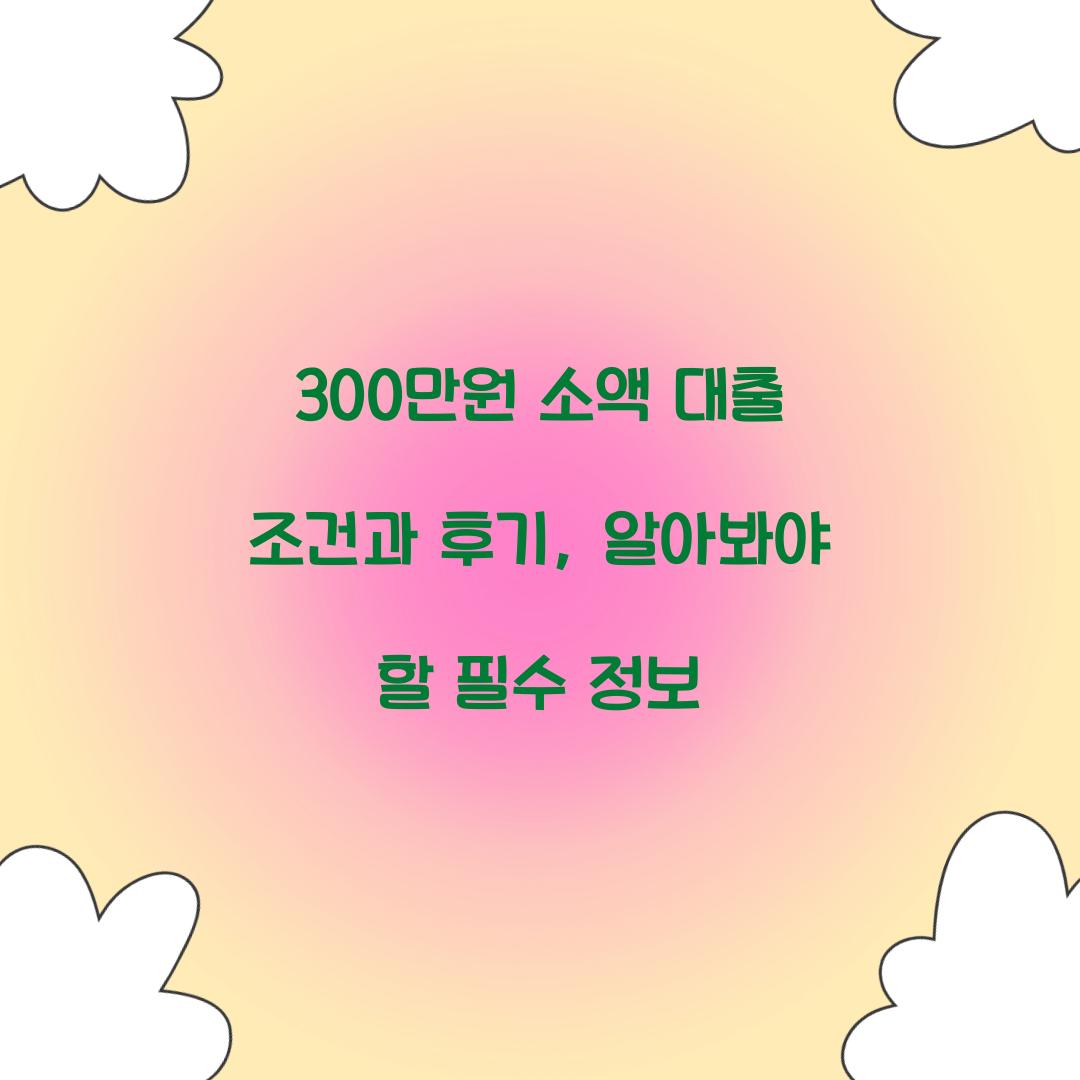 300만원 소액 대출