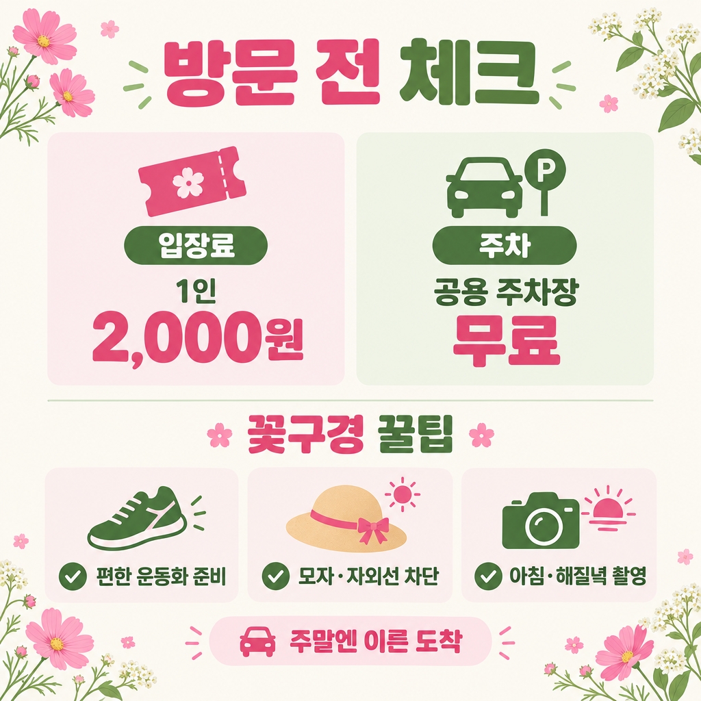 코스모스&middot;메밀꽃 관람 꿀팁