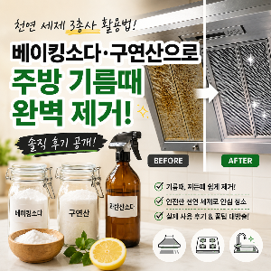 천연 세제 3총사 활용법