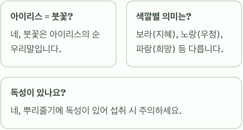 아이리스 꽃말과 색상별 의미 총정리