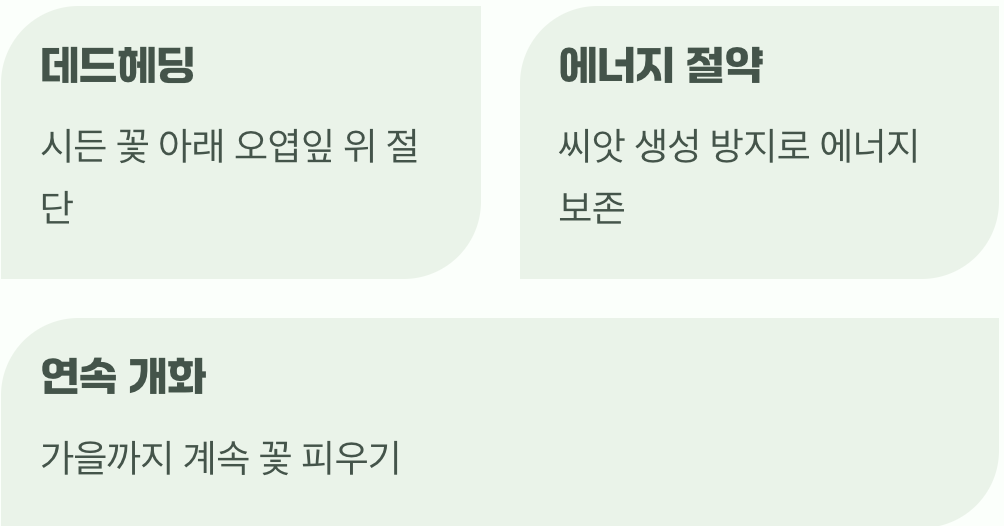 꽃이 진 뒤의 작은 약속, 시든 꽃 잘라주기