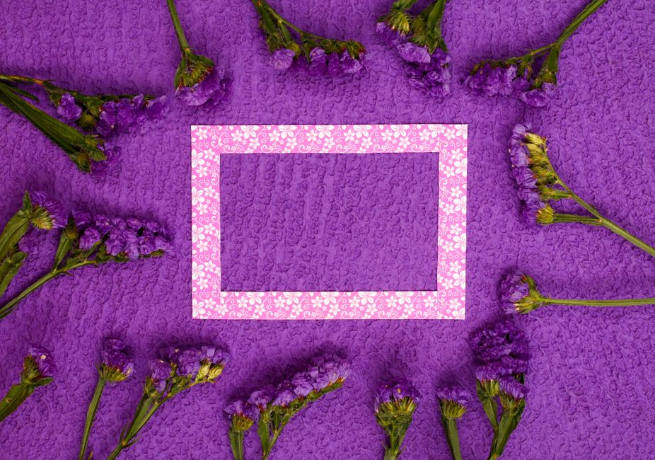 Vibrant purple flowers and a decorative frame on a textured surface create a charming composition.