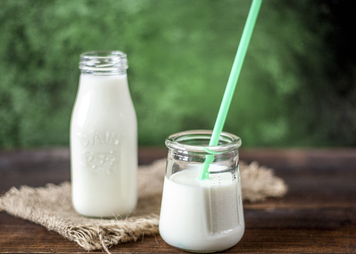 요구르트-다이어트-단쇄지방산-식이섬유-체지방