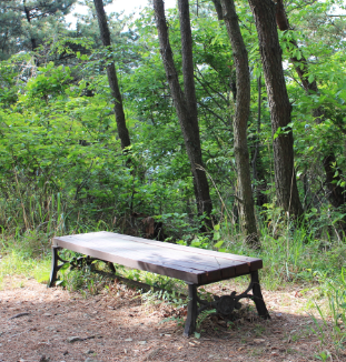 서울 지하철 근교 숲길 트레킹 코스 추천 TOP 5