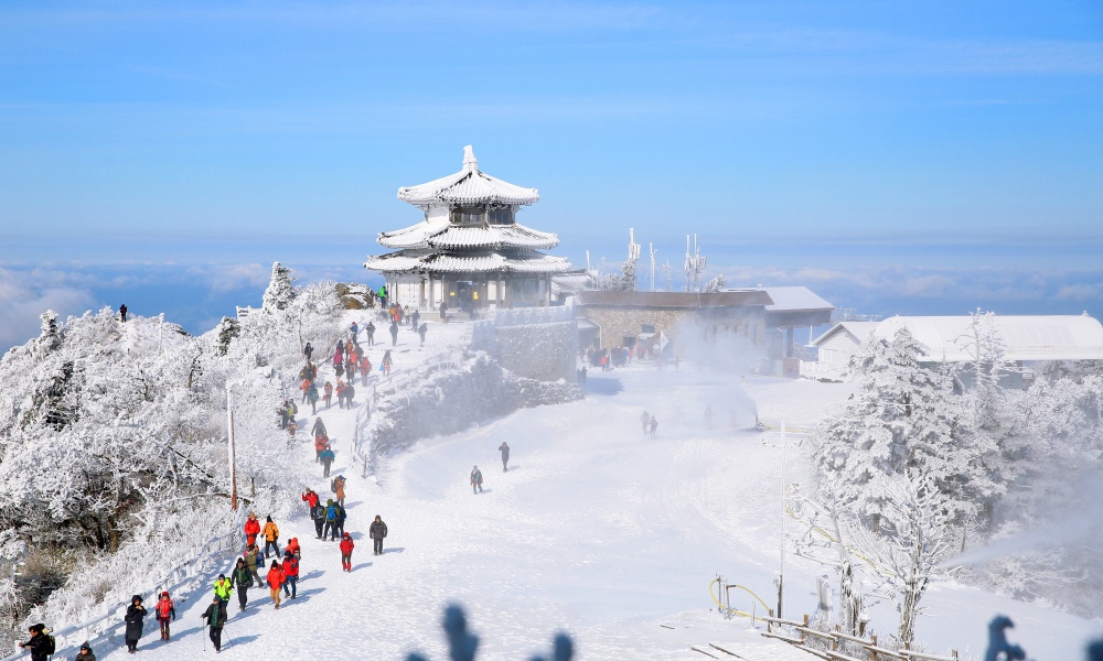 덕유산 곤도라 예약