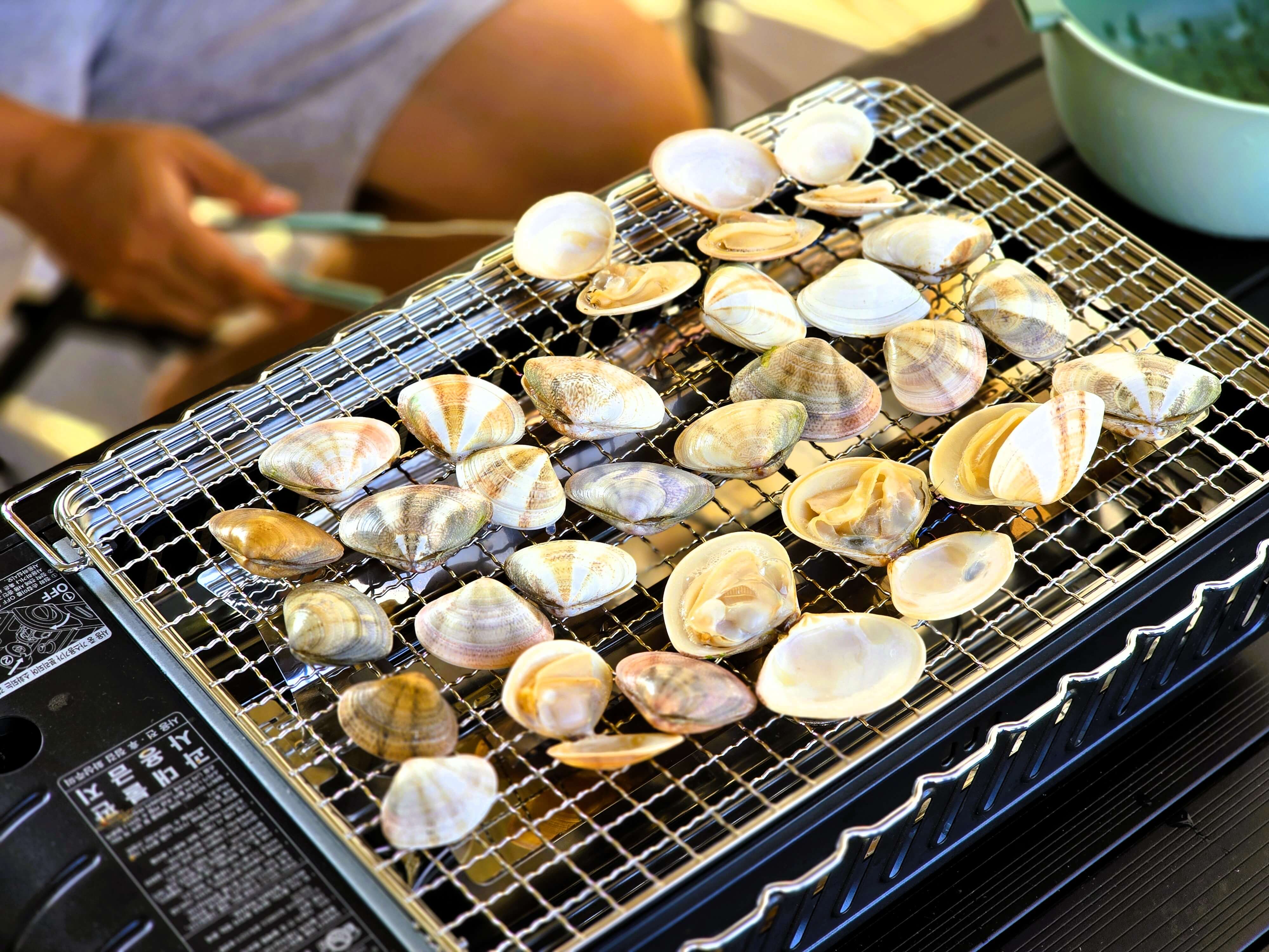 망상오토캠핑리조트 - 조개캐기