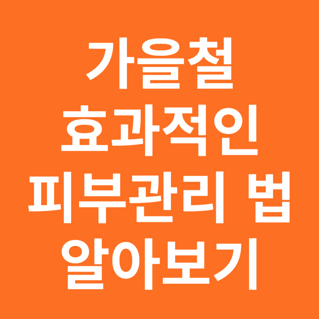 가을철 효과적 피부관리 방법 알아보기