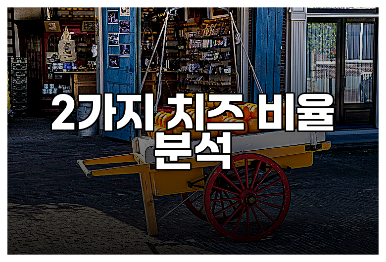 2가지 치즈 비율 분석