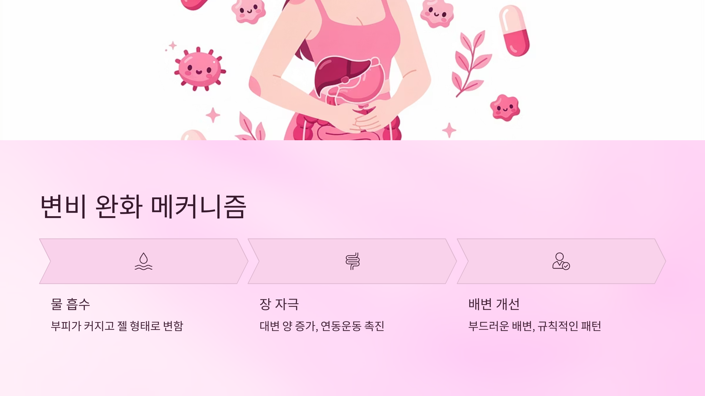 차전자피의 효능 A to Z – 차전자피 먹는법과 부작용 주의사항