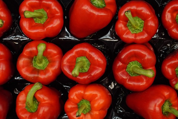 홈플러스-상품권-사용처-사용방법