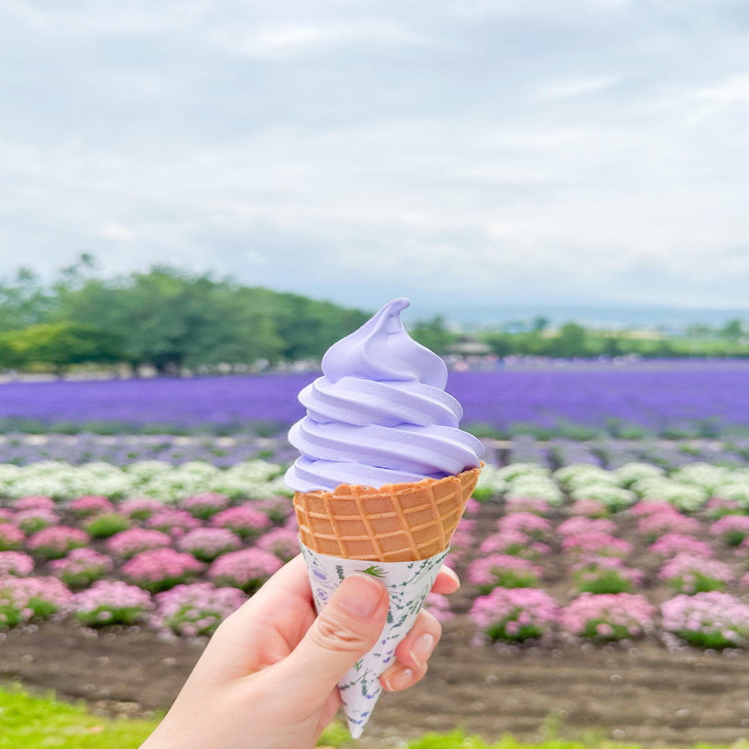삿포로 여행 관련 사진
