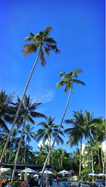 필리핀 여행지 추천 완전정복 실패 없는 일정 짜는 법 완벽 코스_22