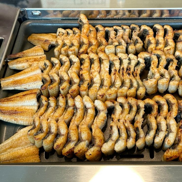 한식보양식