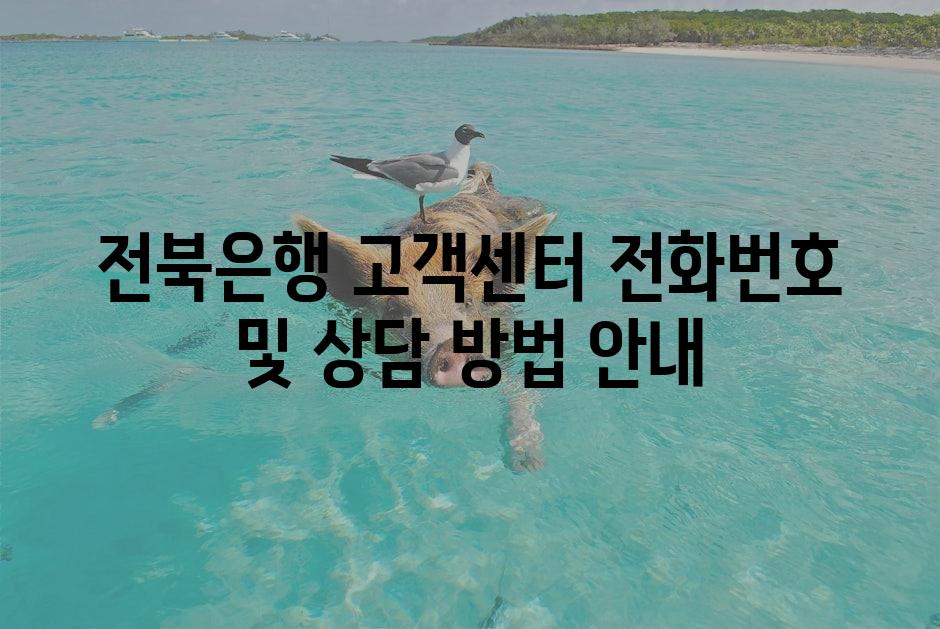 샘플 (1)