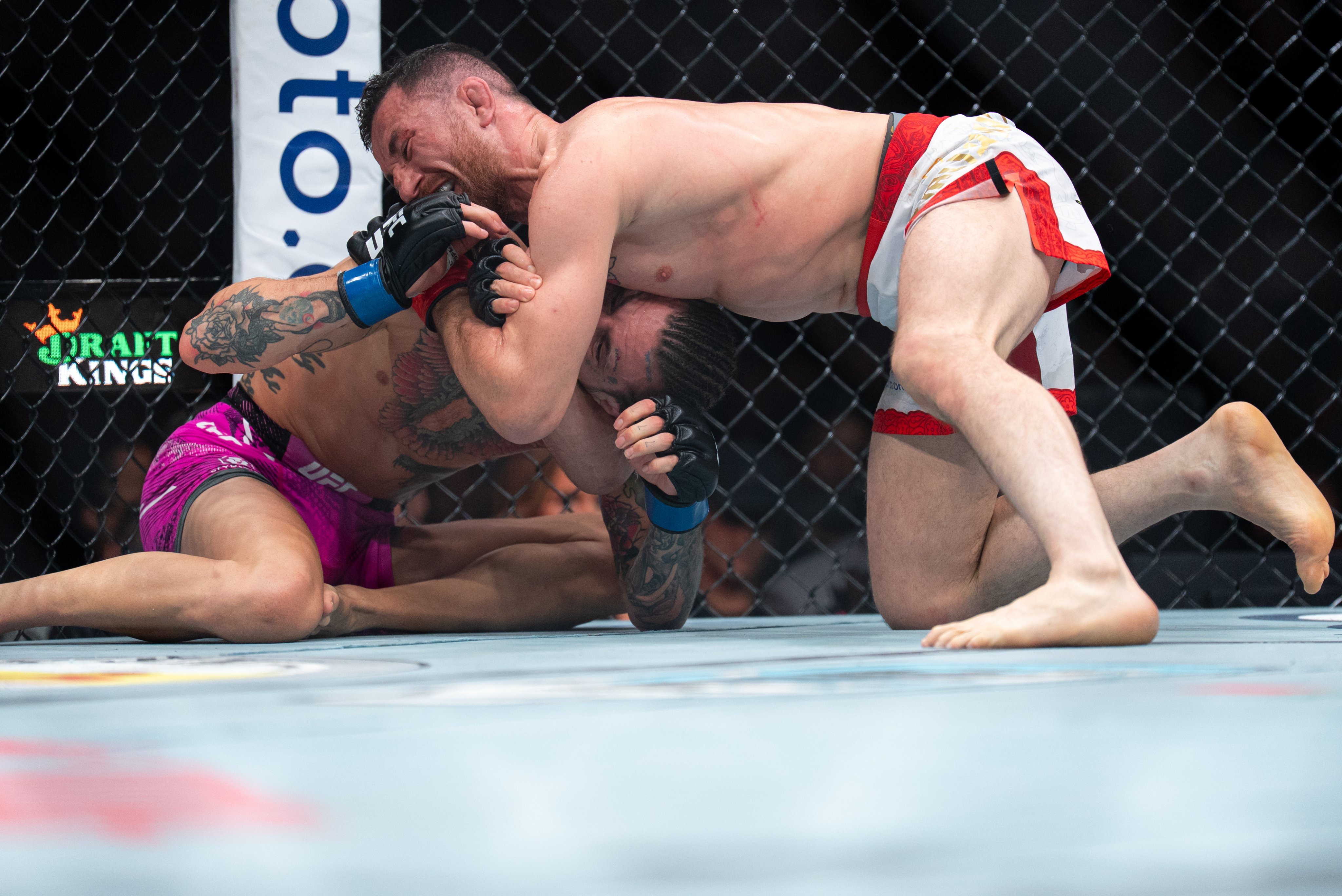 🥊 UFC 316 유주상 KO승