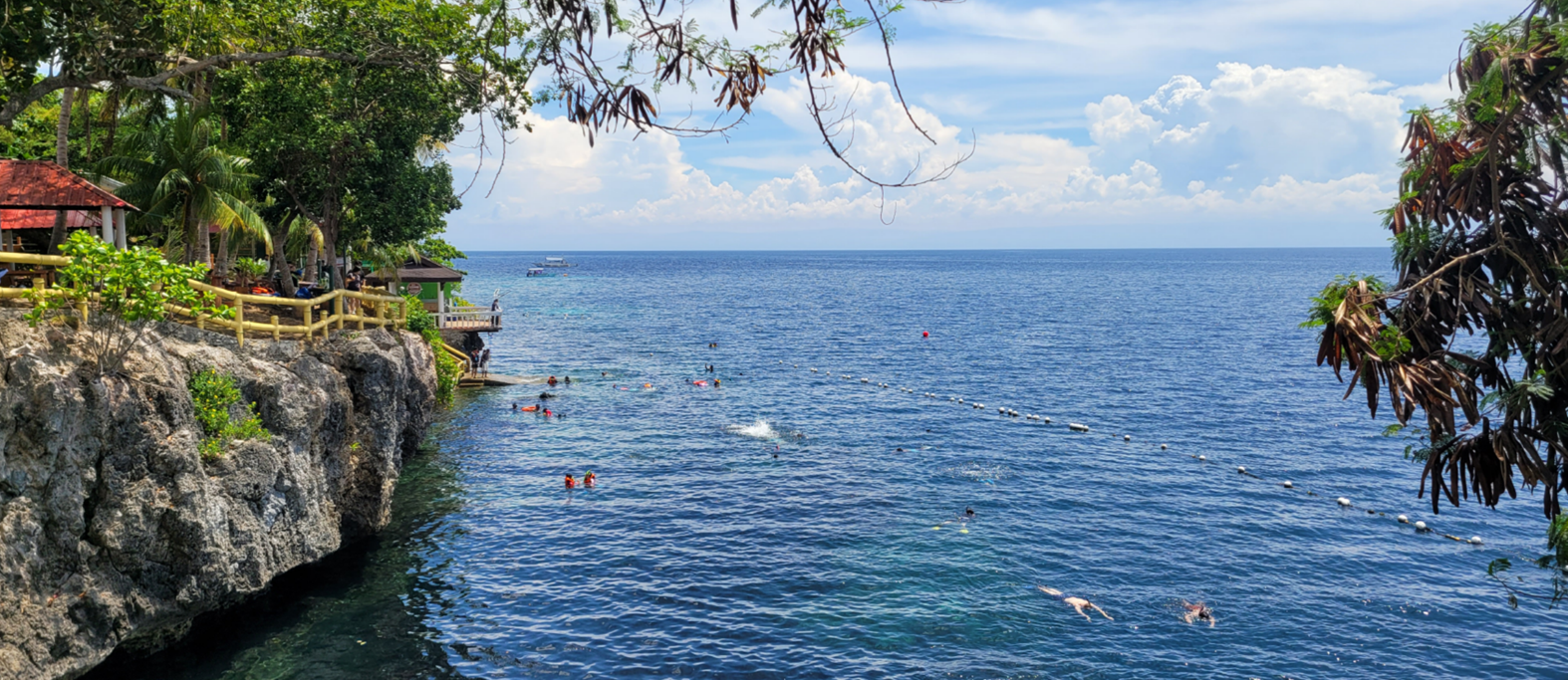 나팔링 리프 모습