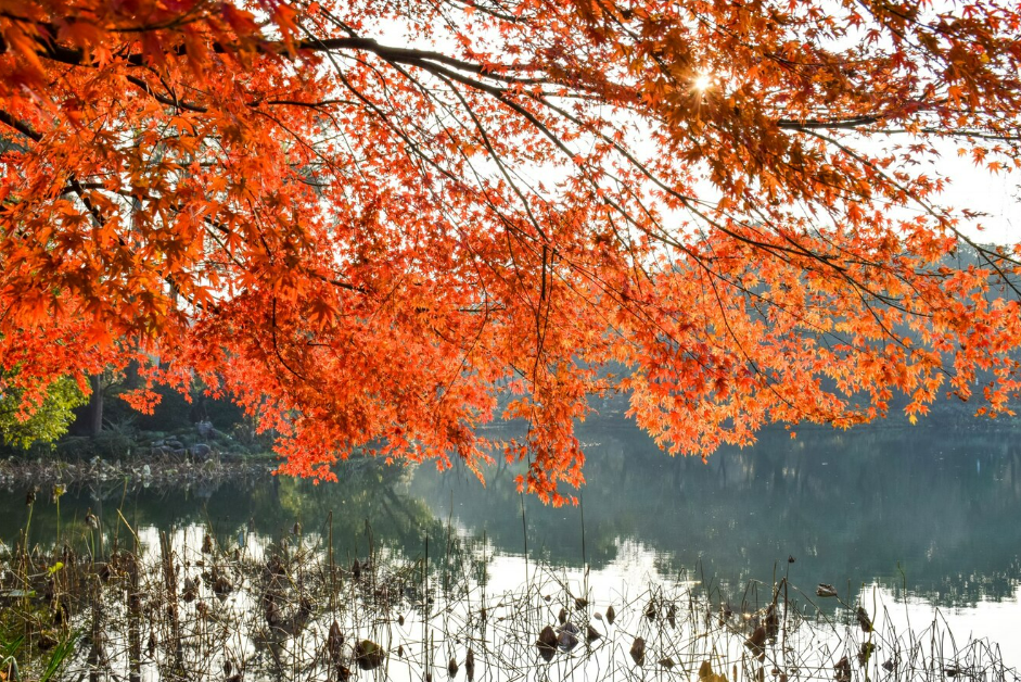 설악산-단풍명소