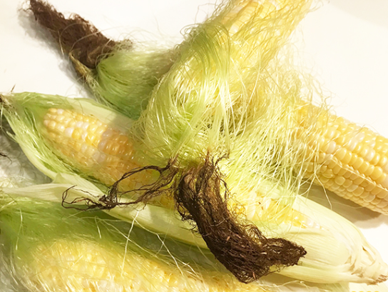 옥수수수염 효능