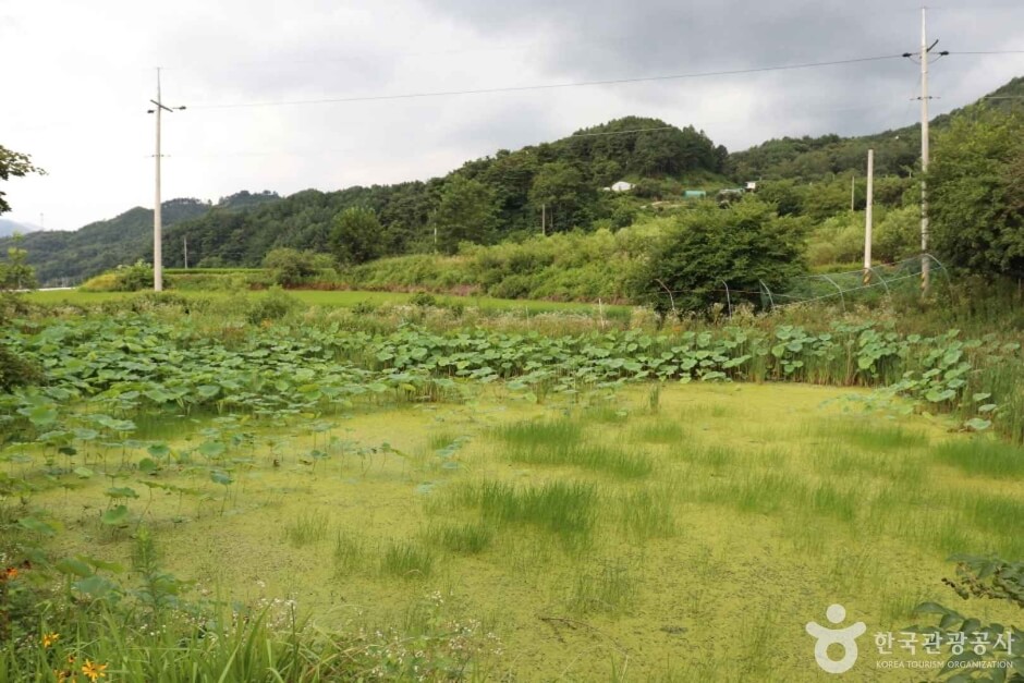 함양 가볼만한곳 베스트 10