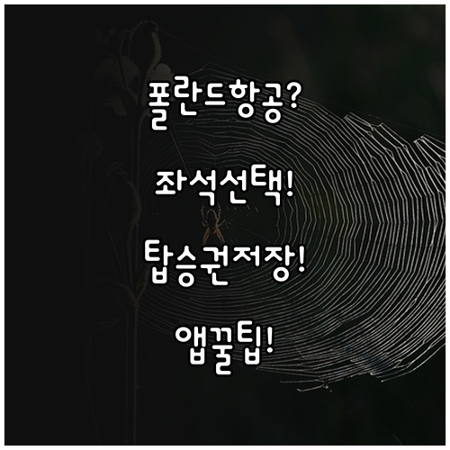 폴란드항공 앱으로 좌석 선택하고 탑승..