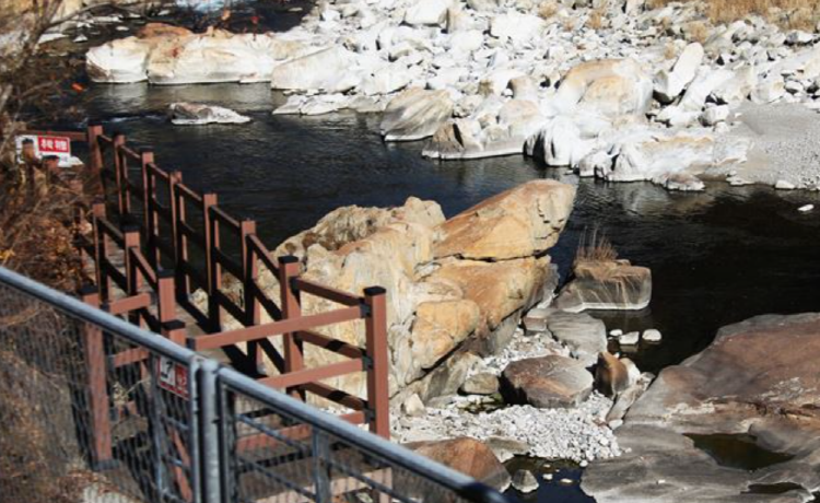 백두대간 협곡열차