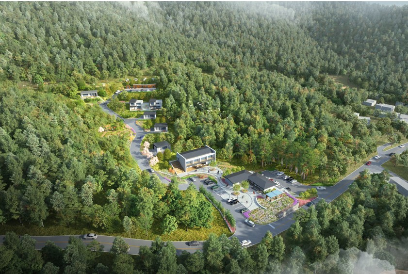 덕적도 자연휴양림으로 떠나자! - 배편부터 예약까지 완벽 가이드