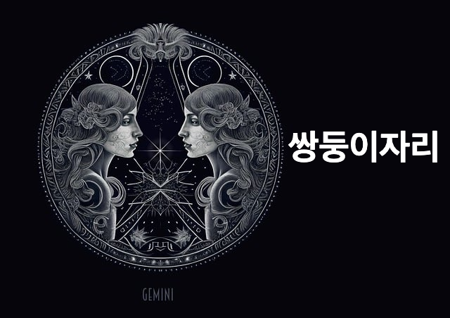 쌍둥이자리