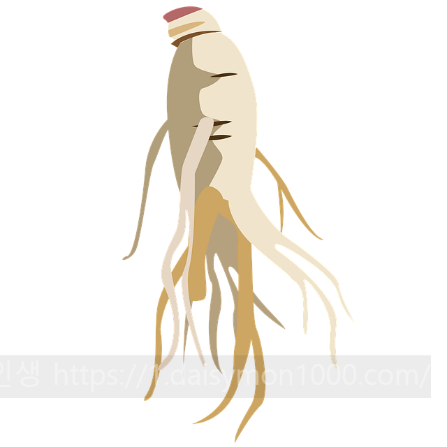 명절선물