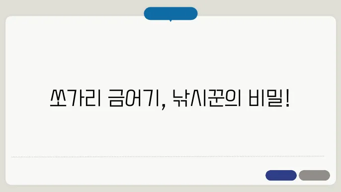 쏘가리 금어기