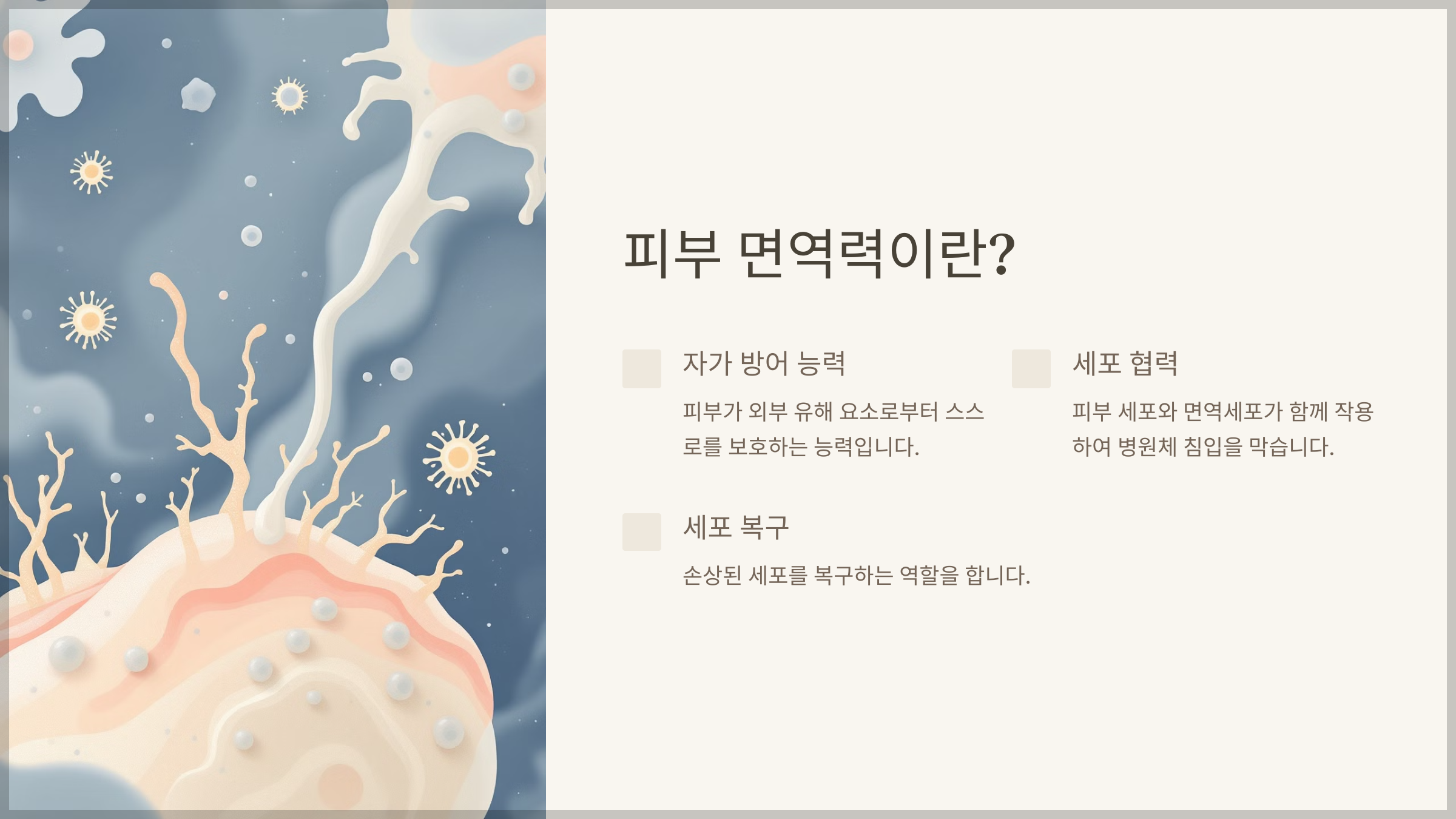 피부 면역력 강화