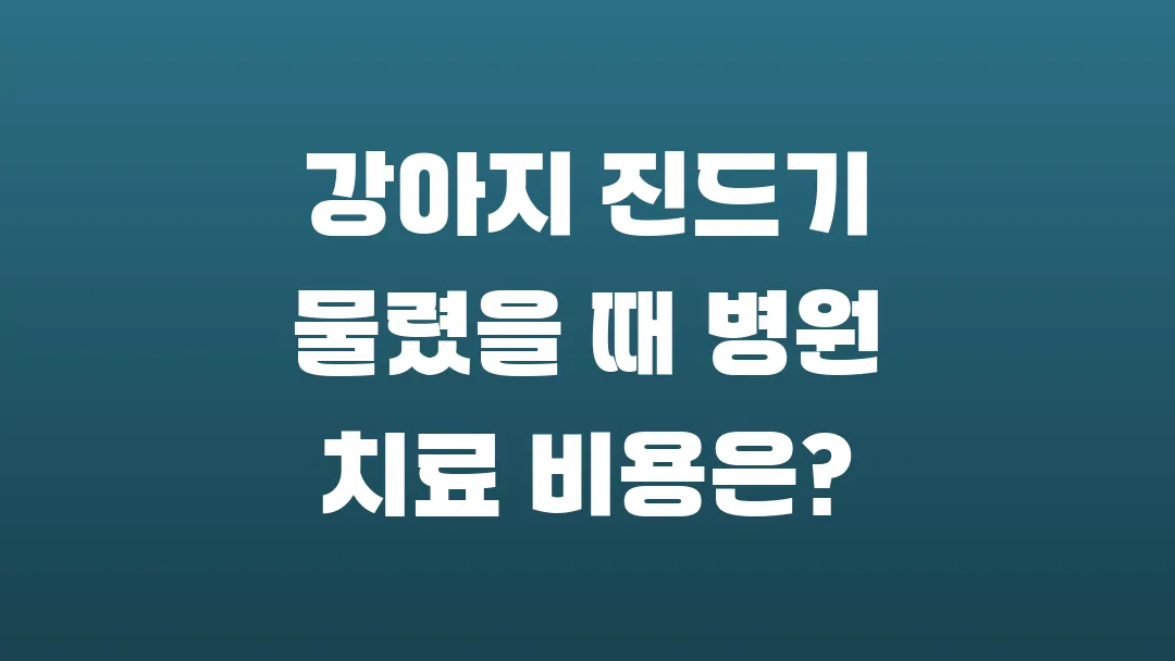 강아지 진드기 물렸을 때 병원 치료 비용은?