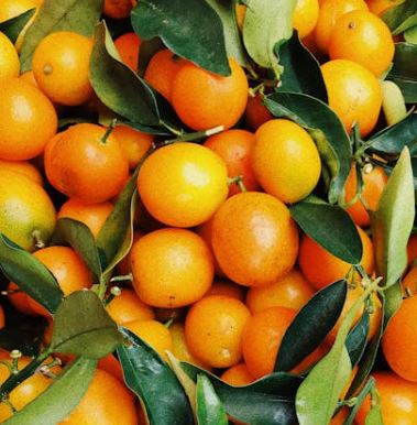 골다공증에 좋은 음식 10가지