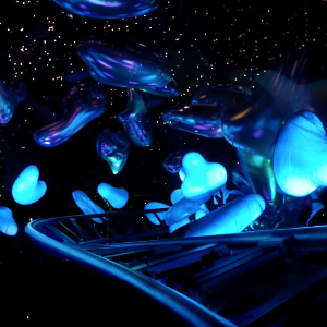 스페이스 판타지 더 라이더