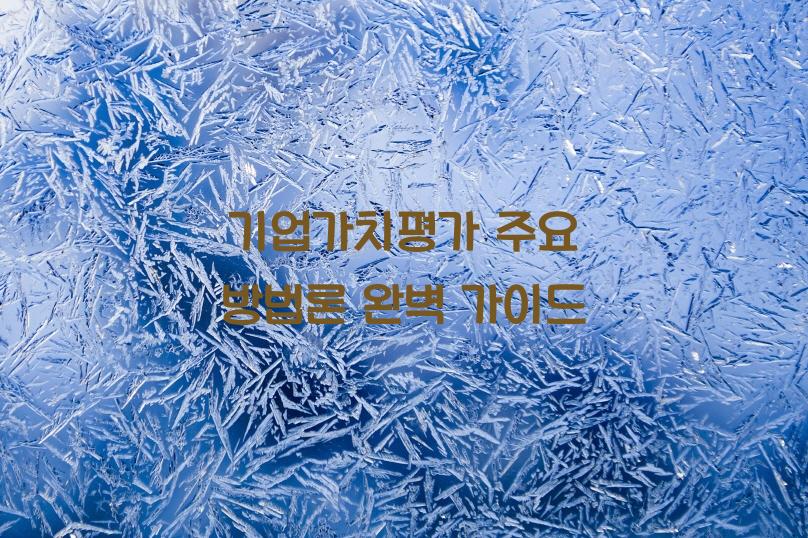 기업가치평가