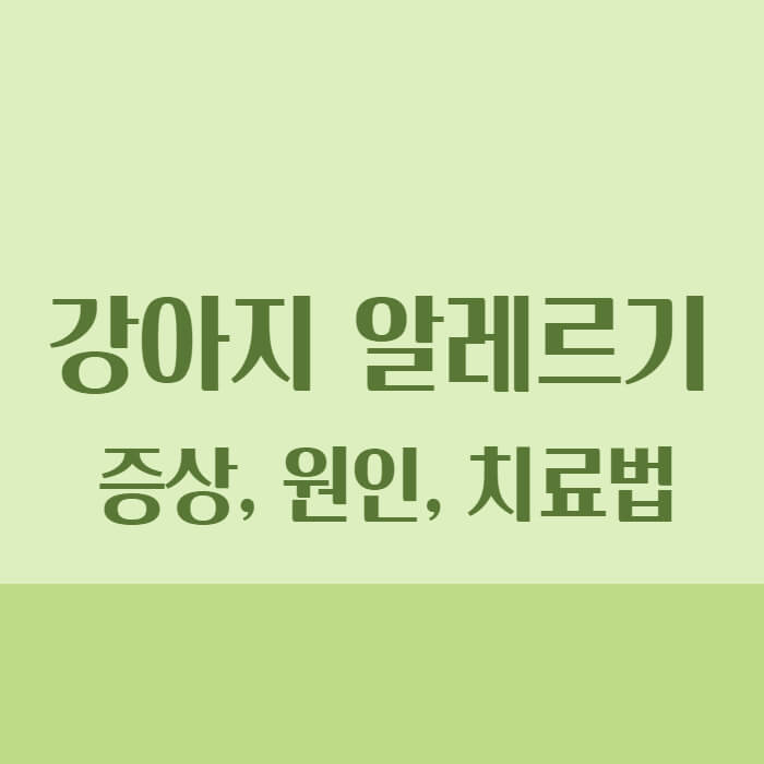 강아지 알레르기 증상