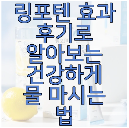 링포텐에 관한 글 보러 가기 링크 사진
