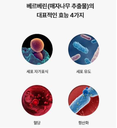 다이어트약-파라코펜-후기