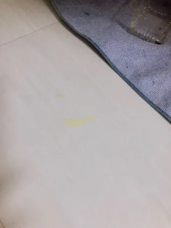 장판 이염 제거 매직블록과 알코올 적정 사용법_16