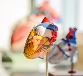 협심증 초기증상 치료방법 원인