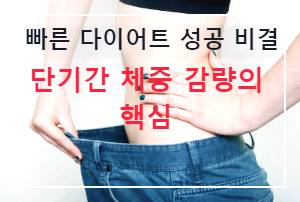 빠른 다이어트 비결
