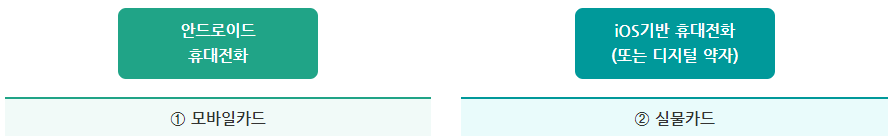 기후교통카드 종류