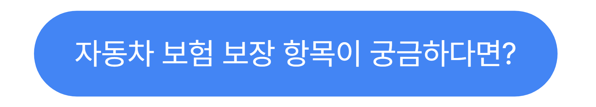 자동차 보험 보장 항목