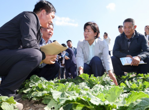 김장 채소 가격 할인 지원 40%까지