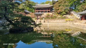 창덕궁 봄 꽃 개화 시기 근처 맛집 10선_4