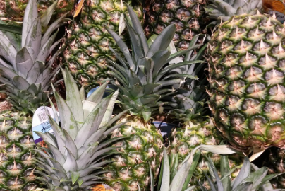 유산소 운동 관련 사진