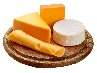 다양한 치즈 사진