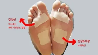 발바닥 파스 효과와 붙이는 위치 방법 팁 정리_41