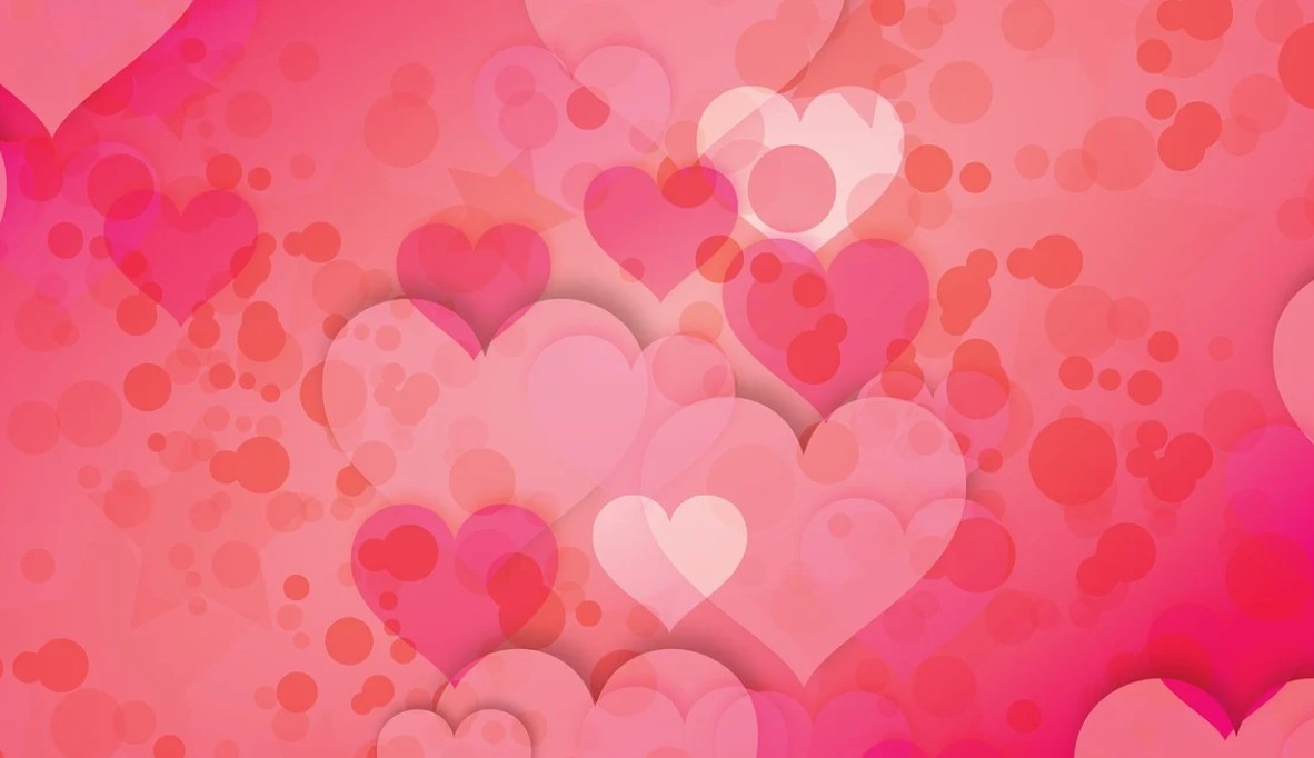 고백할 때 주면 좋은 꽃